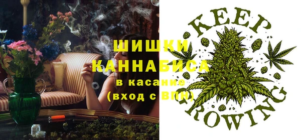 кокс Инсар