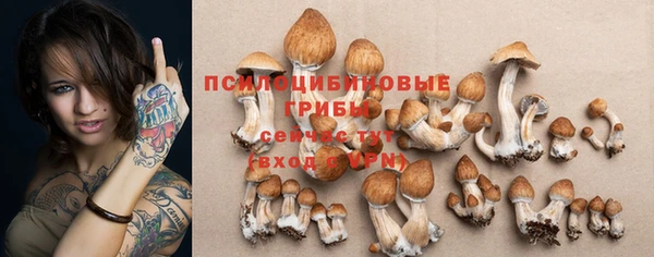 твердый Каменногорск